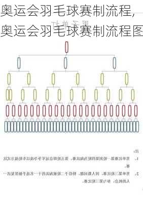 奥运会羽毛球赛制流程,奥运会羽毛球赛制流程图