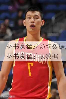 林书豪猛龙场均数据,林书豪猛龙队数据