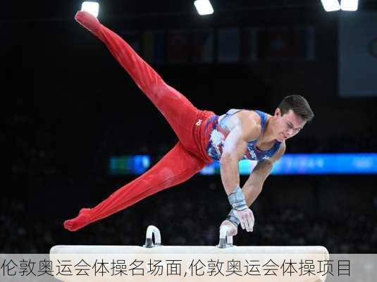 伦敦奥运会体操名场面,伦敦奥运会体操项目