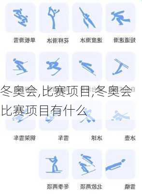 冬奥会,比赛项目,冬奥会比赛项目有什么