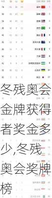 冬残奥会金牌获得者奖金多少,冬残奥会奖牌榜