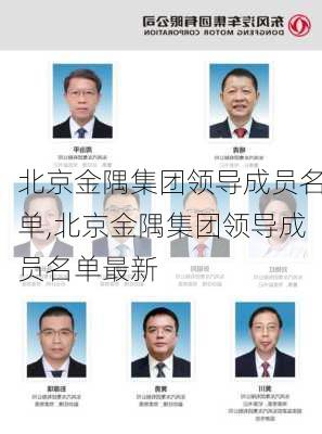 北京金隅集团领导成员名单,北京金隅集团领导成员名单最新