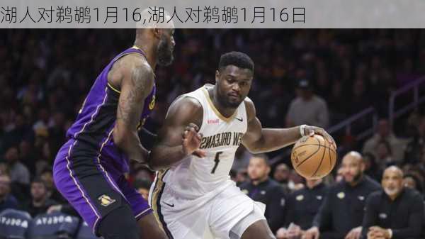 湖人对鹈鹕1月16,湖人对鹈鹕1月16日