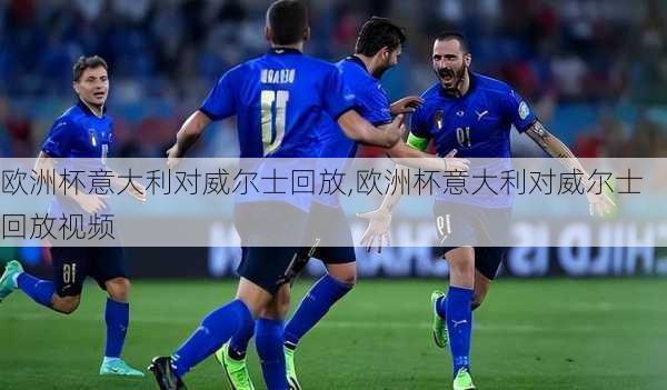 欧洲杯意大利对威尔士回放,欧洲杯意大利对威尔士回放视频