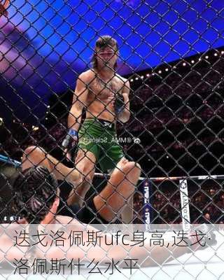 迭戈洛佩斯ufc身高,迭戈·洛佩斯什么水平