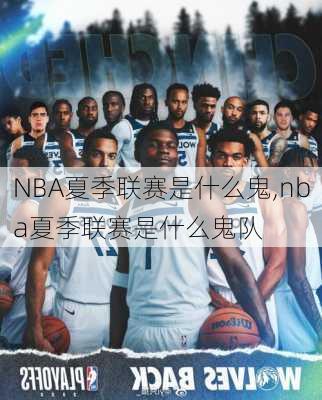 NBA夏季联赛是什么鬼,nba夏季联赛是什么鬼队