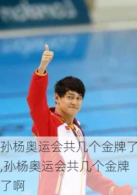 孙杨奥运会共几个金牌了,孙杨奥运会共几个金牌了啊