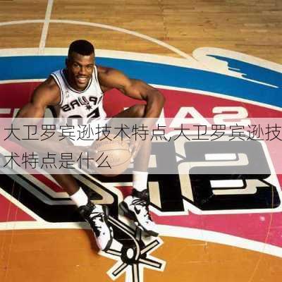 大卫罗宾逊技术特点,大卫罗宾逊技术特点是什么