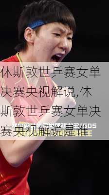 休斯敦世乒赛女单决赛央视解说,休斯敦世乒赛女单决赛央视解说是谁