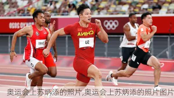 奥运会上苏炳添的照片,奥运会上苏炳添的照片图片