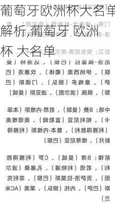 葡萄牙欧洲杯大名单解析,葡萄牙 欧洲杯 大名单