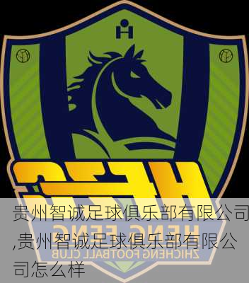 贵州智诚足球俱乐部有限公司,贵州智诚足球俱乐部有限公司怎么样