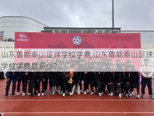 山东鲁能泰山足球学校学费,山东鲁能泰山足球学校学费是多少?