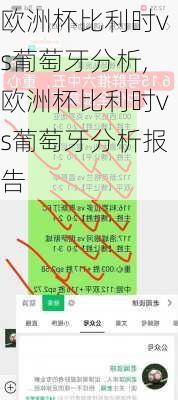 欧洲杯比利时vs葡萄牙分析,欧洲杯比利时vs葡萄牙分析报告