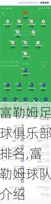 富勒姆足球俱乐部排名,富勒姆球队介绍