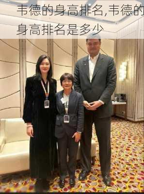 韦德的身高排名,韦德的身高排名是多少