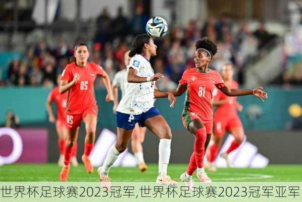 世界杯足球赛2023冠军,世界杯足球赛2023冠军亚军