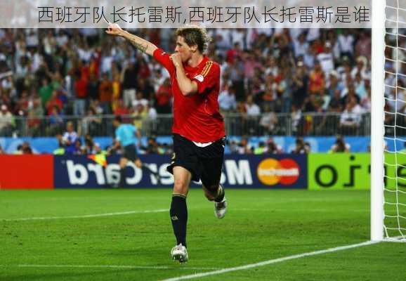 西班牙队长托雷斯,西班牙队长托雷斯是谁