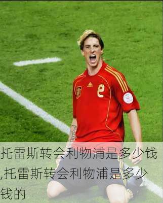 托雷斯转会利物浦是多少钱,托雷斯转会利物浦是多少钱的