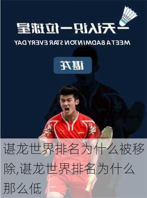 谌龙世界排名为什么被移除,谌龙世界排名为什么那么低