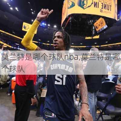 莫兰特是哪个球队nba,莫兰特是哪个球队