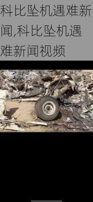科比坠机遇难新闻,科比坠机遇难新闻视频