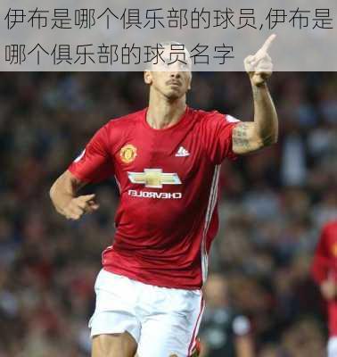 伊布是哪个俱乐部的球员,伊布是哪个俱乐部的球员名字