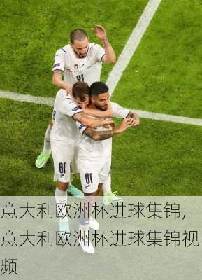 意大利欧洲杯进球集锦,意大利欧洲杯进球集锦视频