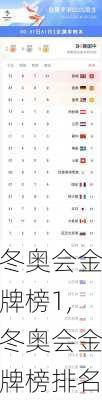 冬奥会金牌榜1,冬奥会金牌榜排名