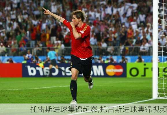 托雷斯进球集锦超燃,托雷斯进球集锦视频