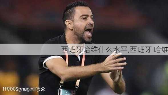 西班牙哈维什么水平,西班牙 哈维