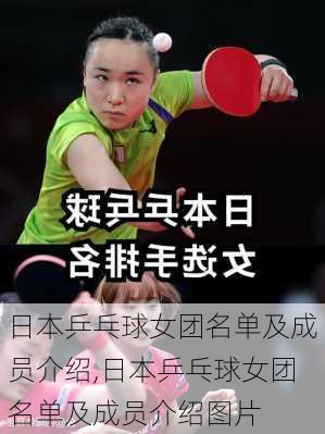 日本乒乓球女团名单及成员介绍,日本乒乓球女团名单及成员介绍图片
