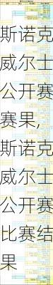 斯诺克威尔士公开赛赛果,斯诺克威尔士公开赛比赛结果