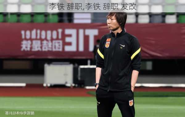 李铁 辞职,李铁 辞职 发改