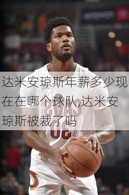 达米安琼斯年薪多少现在在哪个球队,达米安琼斯被裁了吗