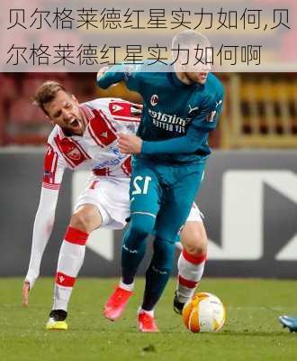 贝尔格莱德红星实力如何,贝尔格莱德红星实力如何啊