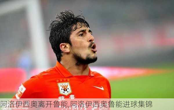 阿洛伊西奥离开鲁能,阿洛伊西奥鲁能进球集锦