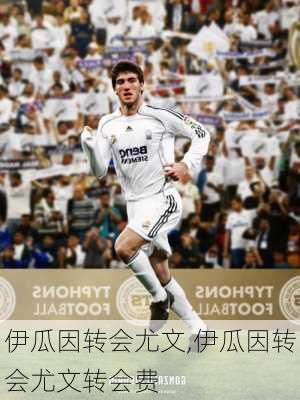 伊瓜因转会尤文,伊瓜因转会尤文转会费