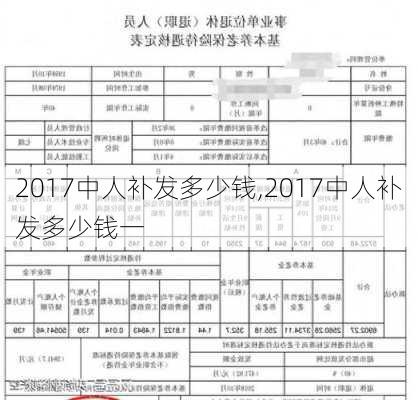 2017中人补发多少钱,2017中人补发多少钱一