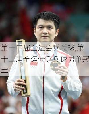 第十二届全运会乒乓球,第十二届全运会乒乓球男单冠军