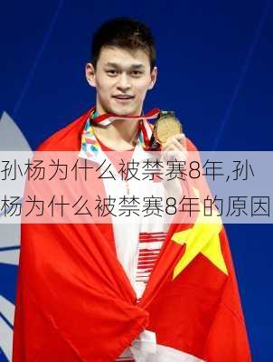 孙杨为什么被禁赛8年,孙杨为什么被禁赛8年的原因