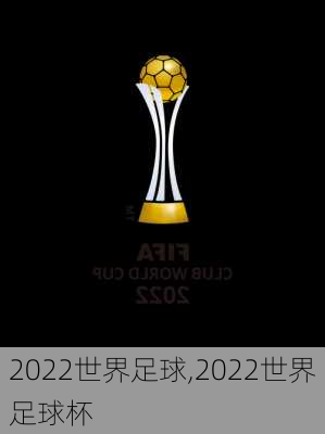2022世界足球,2022世界足球杯