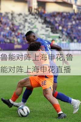 鲁能对阵上海申花,鲁能对阵上海申花直播