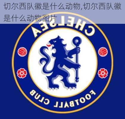 切尔西队徽是什么动物,切尔西队徽是什么动物图片