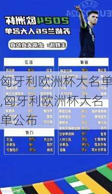 匈牙利欧洲杯大名单,匈牙利欧洲杯大名单公布
