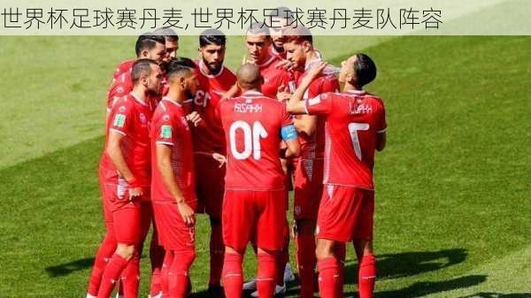 世界杯足球赛丹麦,世界杯足球赛丹麦队阵容