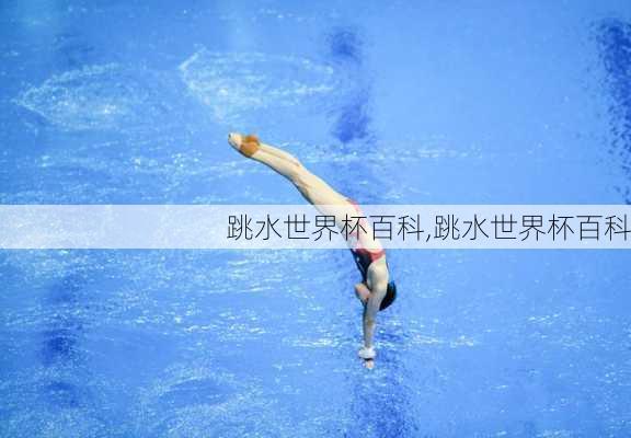 跳水世界杯百科,跳水世界杯百科
