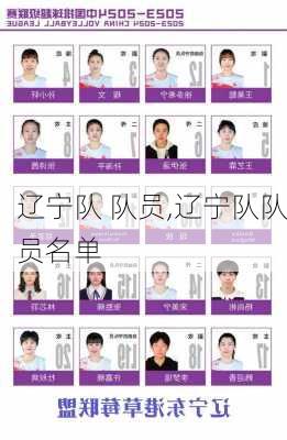 辽宁队 队员,辽宁队队员名单