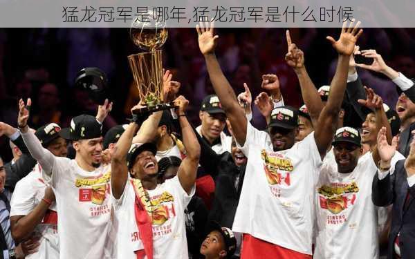 猛龙冠军是哪年,猛龙冠军是什么时候