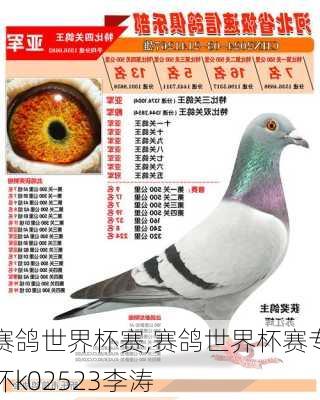 赛鸽世界杯赛,赛鸽世界杯赛专环k02523李涛